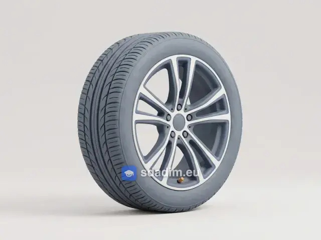 neumático tubeless — бескамерная шина
