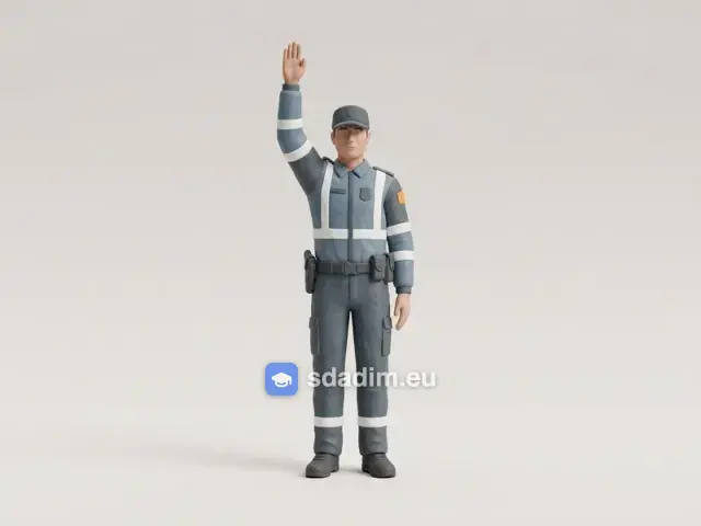 orden del agente — указание регулировщика